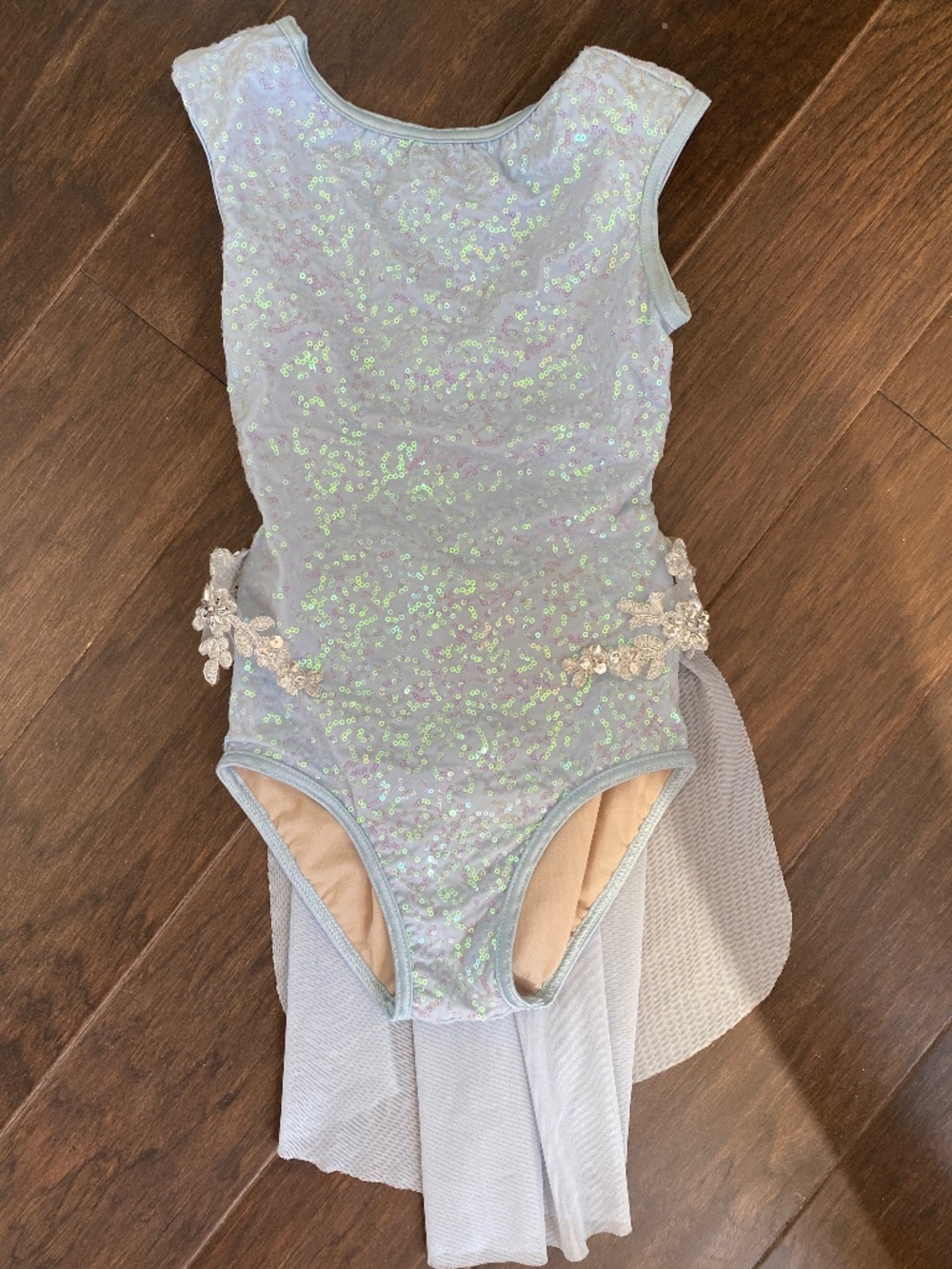 Gorgeous Dance Costume